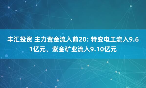 丰汇投资 主力资金流入前20: 特变电工流入9.61亿元、紫金矿业流入9.10亿元